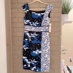 Dress (Size:4)